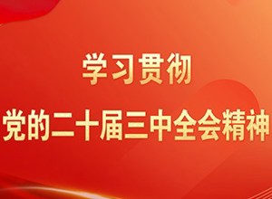 学习贯彻党的二十届三中全会精神