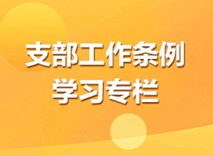 《中国共产党支部工作条例(试行)》