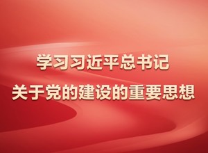 学习贯彻习近平总书记关于党的建设的重要思想