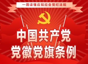 中国共产党党徽党旗条例