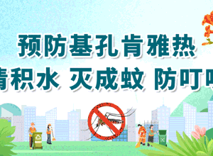预防基孔肯雅热、登革热这样做