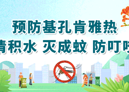 预防基孔肯雅热、登革热这样做