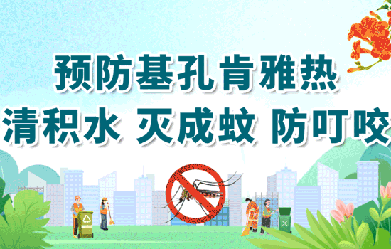 预防基孔肯雅热、登革热这样做