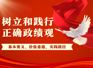 树立和践行正确政绩观学习教育