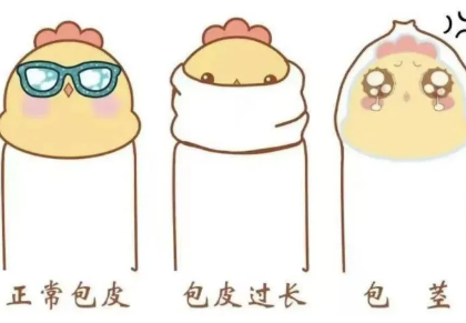 【丁丁历险记】家长必看！暑期到来，要不要带孩子割包皮？