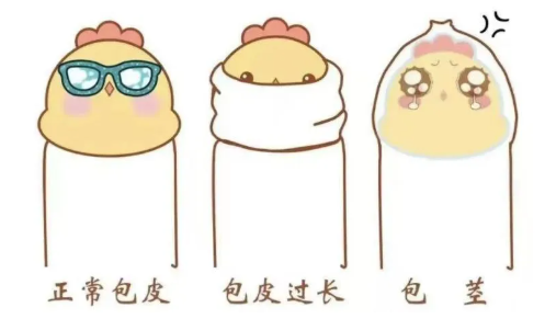 【丁丁历险记】家长必看！暑期到来，要不要带孩子割包皮？