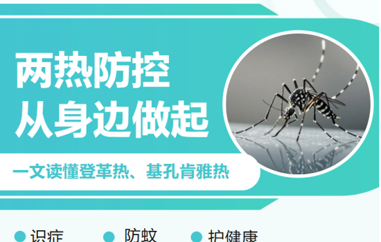 警惕！蚊子增多，“两热”来袭！出现这些症状请立即就医